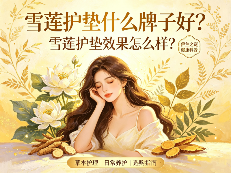 雪莲护垫什么牌子好？雪莲护垫效果怎么样？